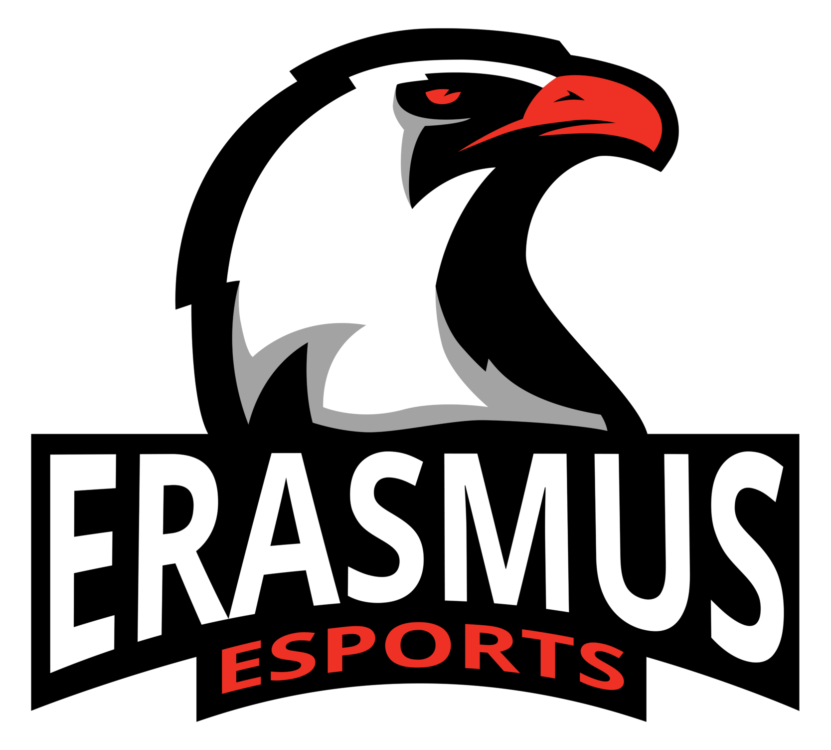 Erasmus Esports